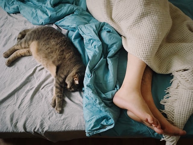 Pessoa branca deitada numa cama com um gato.