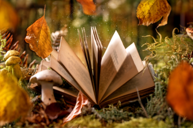 Livro aberto no meio da floresta, com folhas de outono caindo e com magia em forma de pó voando