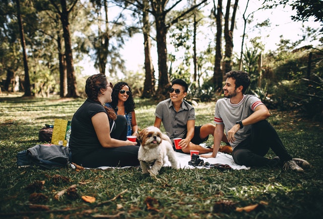 Grupo de amigos e um cachorro fazendo um piquenique no parque