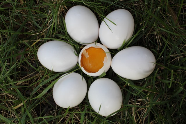 Ovo quebrado no meio de ovos inteiros.