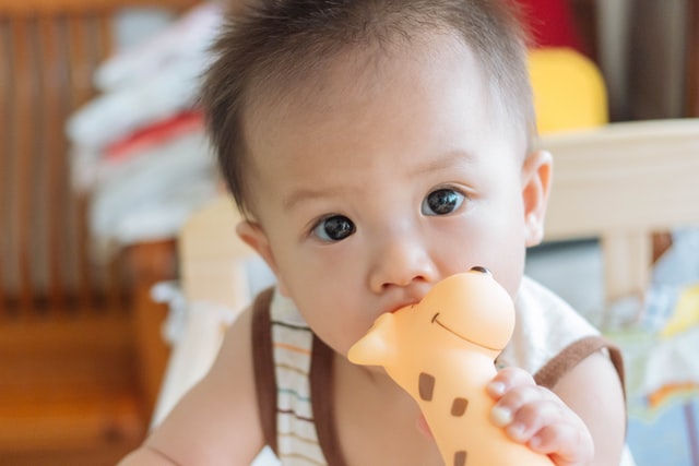 Bebê asiático com girafa de brinquedo na boca.