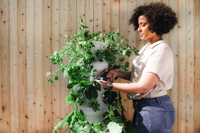 Mulher negra cuidando de plantas.