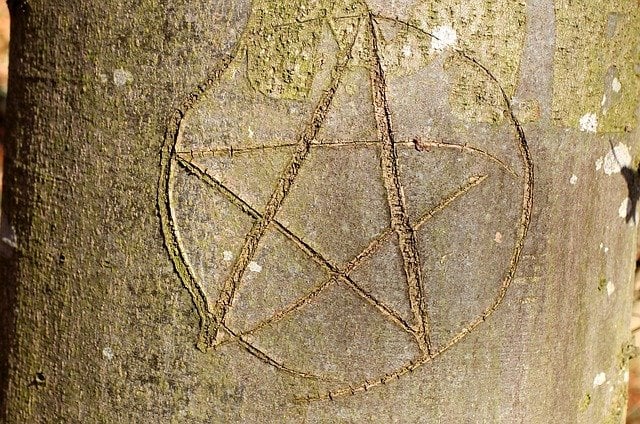 Pentagrama desenhado no tronco de uma árvore.