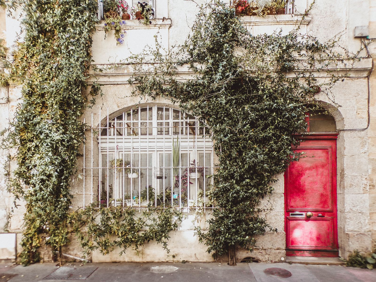 Casa com plantas ao redor e uma porta vermelha
