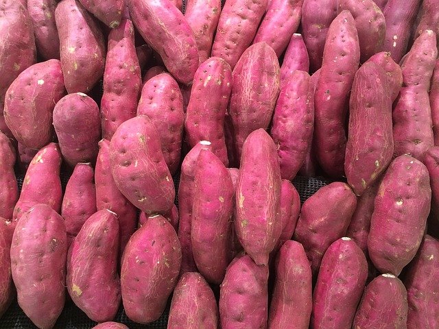 Batatas-doce roxas.