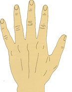 Formato de mão cônica