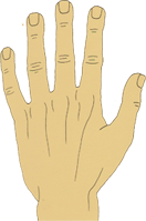 Formato de mão espatulada